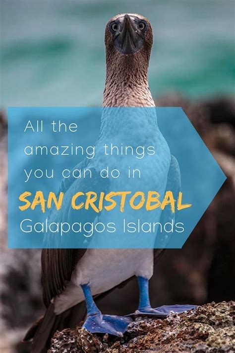 bus to santiago isabela|6 unmissable free things to do in San Cristobal Galapagos I Ecuador Gu.